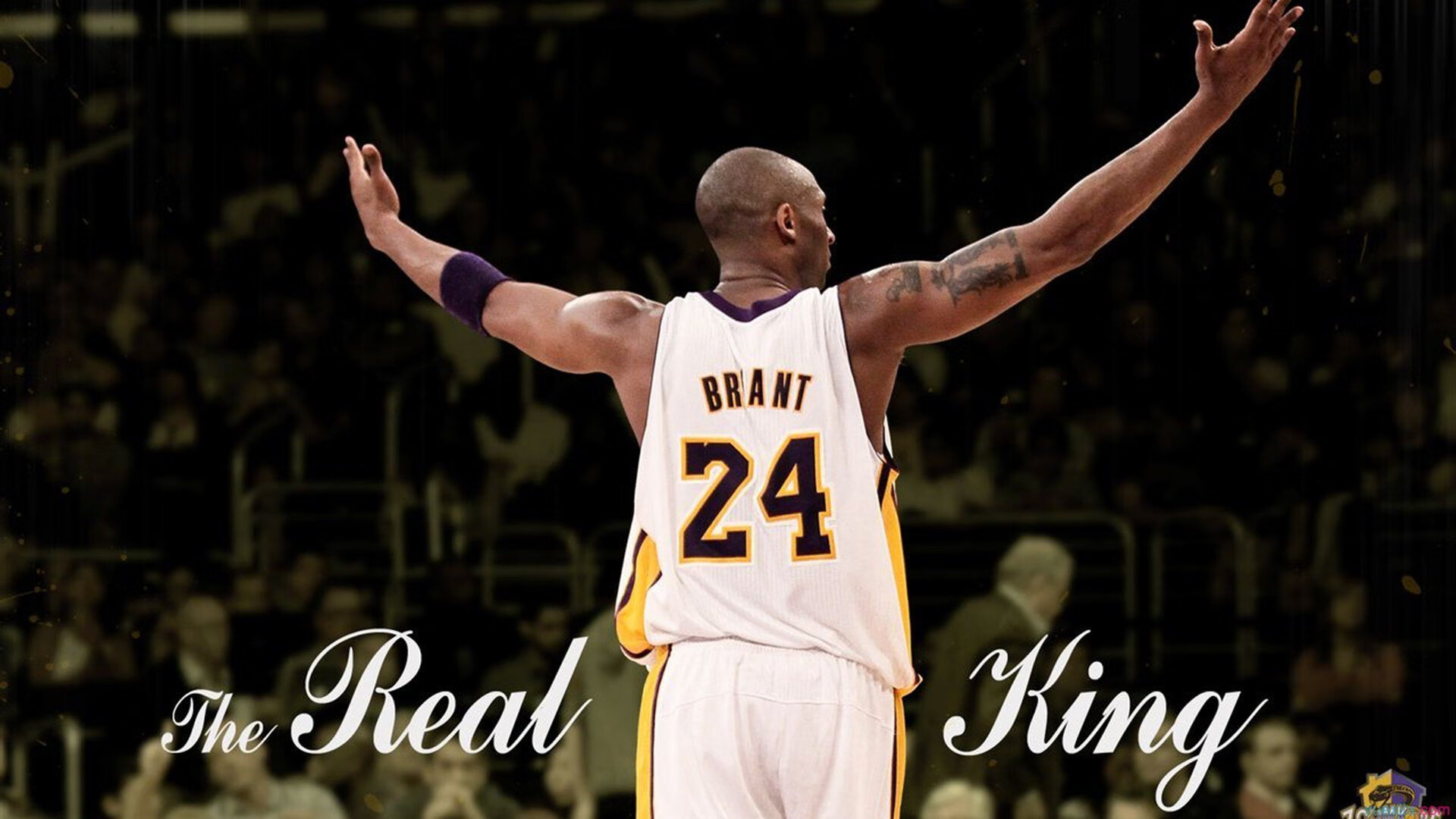 硬仗之王弗拉霍维奇，从欧洲赛场到洪都拉斯对阵委内瑞拉的战术启示